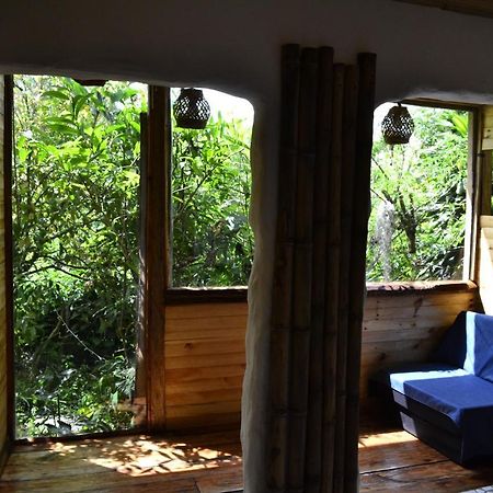 Habitacion Las Bromelias, Pijao, Finca Flora Del Rio Eksteriør billede