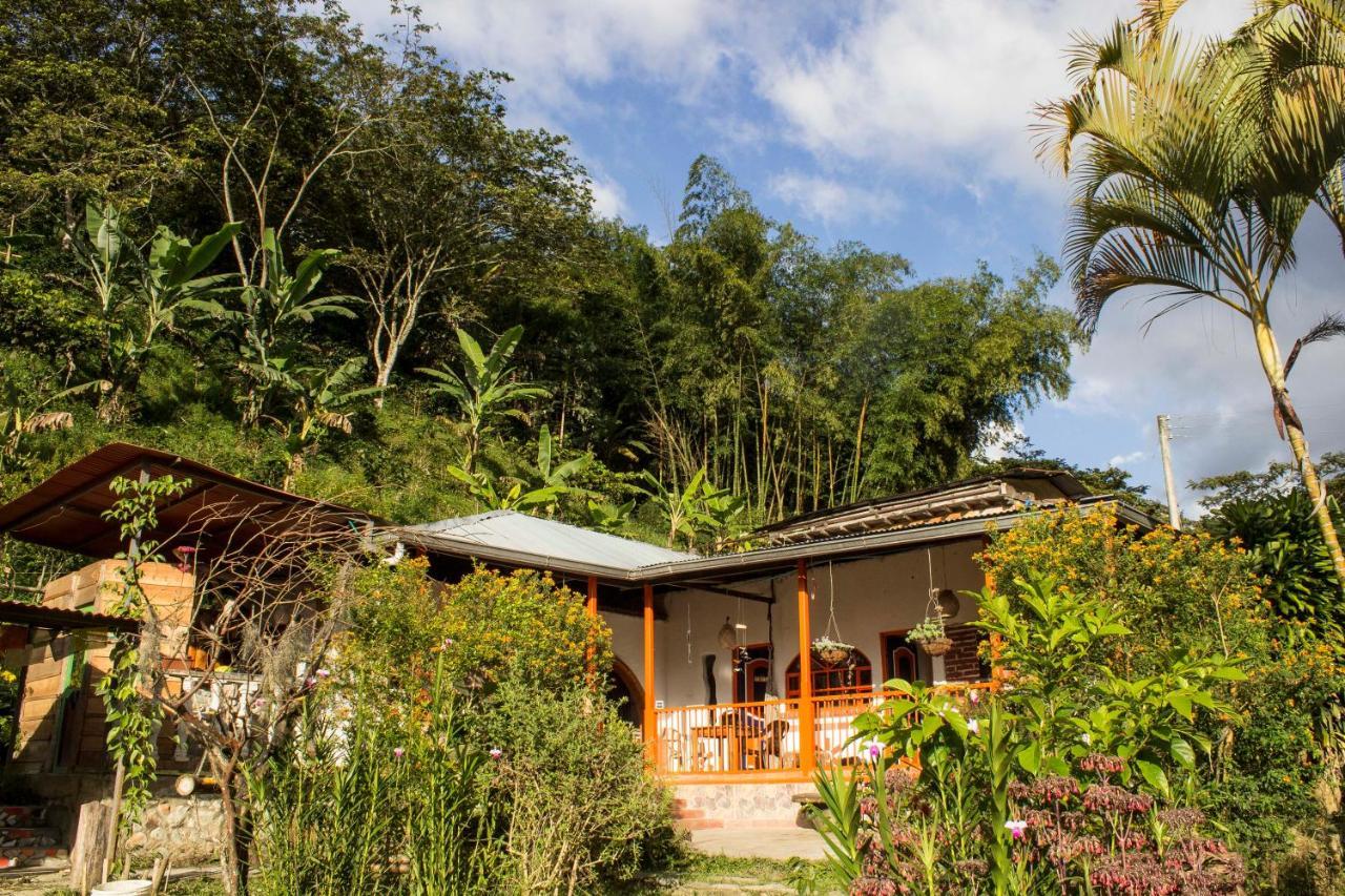 Habitacion Las Bromelias, Pijao, Finca Flora Del Rio Eksteriør billede