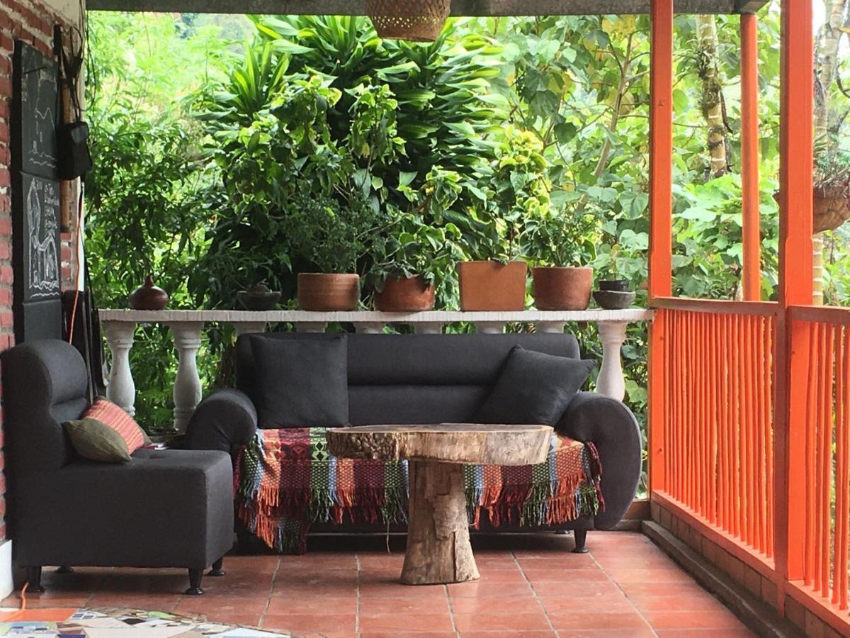 Habitacion Las Bromelias, Pijao, Finca Flora Del Rio Eksteriør billede